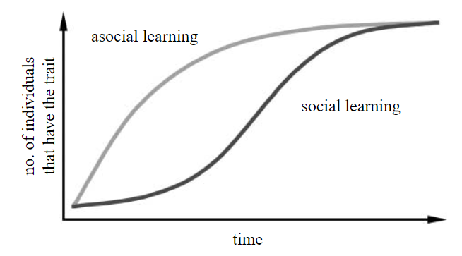 社会的学習・非社会学的学習のときに数理モデルから予測される曲線。Franz & Nunn(2009)から引用。