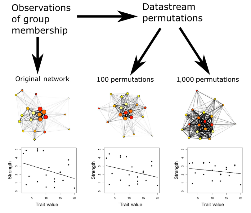 Pre-network permutationを繰り返すことで値の分布のばらつきが小さくなる。Weiss et al. (2021)から引用。